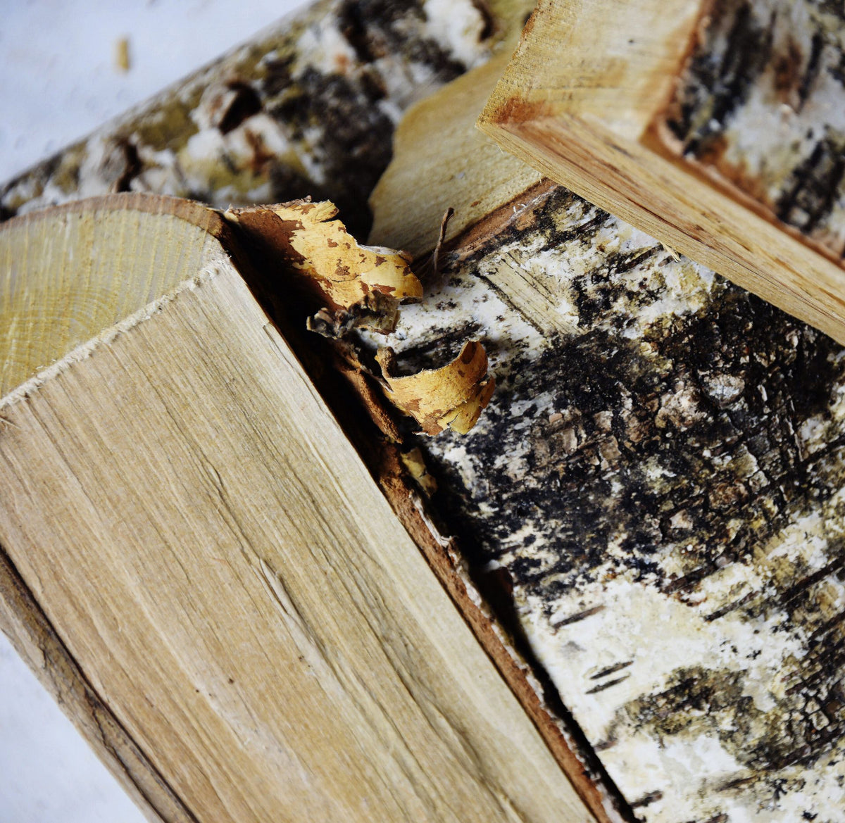 Where to Buy Premium Birch Firewood in Dubai