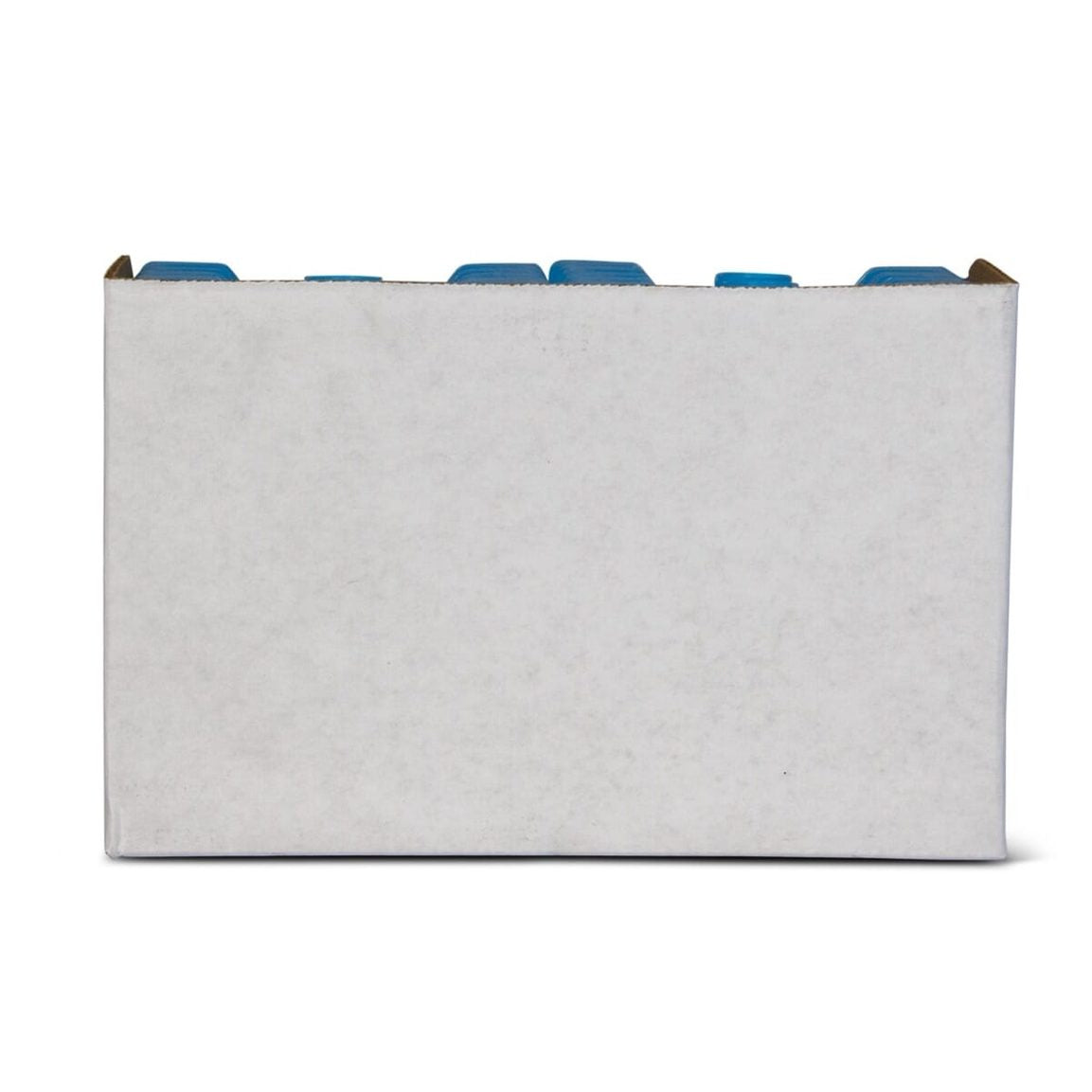 Igloo-ice Block Small - Blue