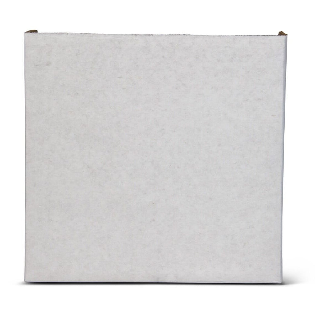Igloo Ice Block Medium - Blue