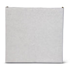 Igloo Ice Block Medium - Blue