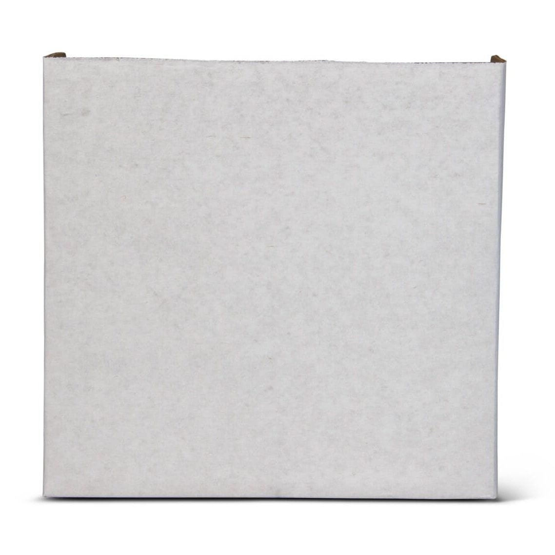 Igloo Ice Block Medium - Blue