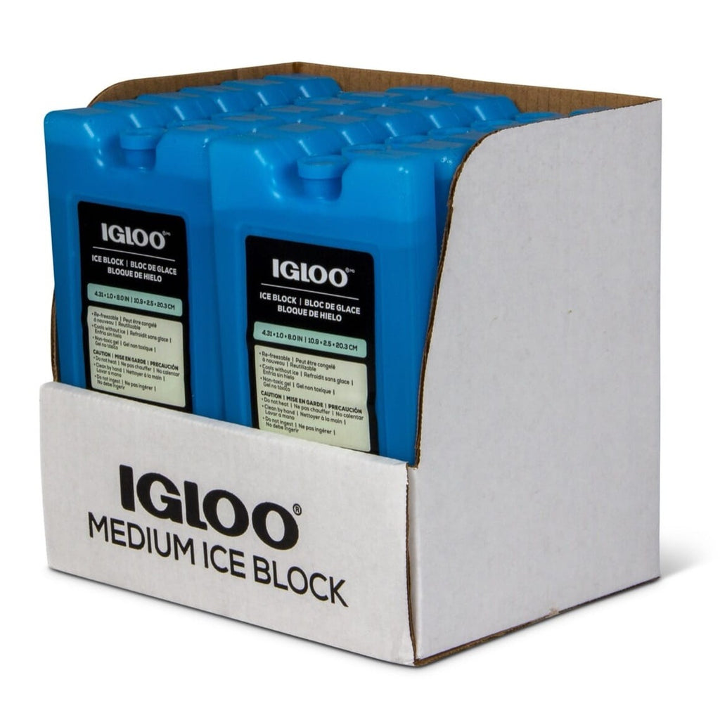 Igloo Ice Block Medium - Blue