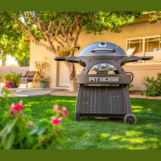 Pitboss - Sportsman 3 Grey