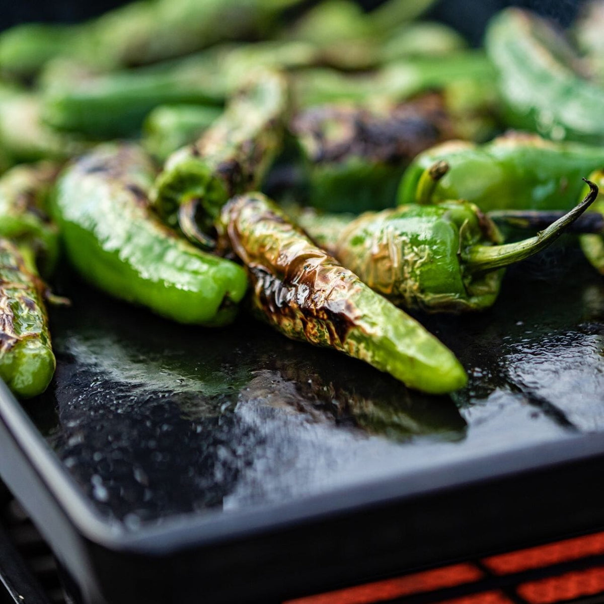 OutdoorChef Plancha L - صاج شواء خارجي كبير