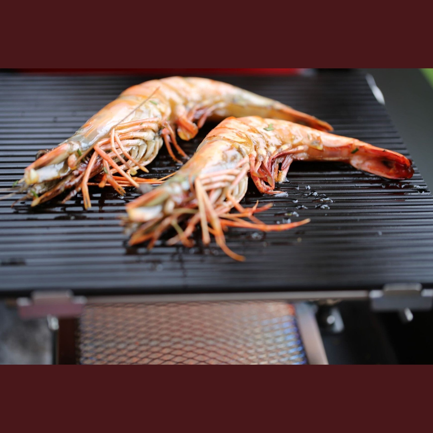OutdoorChef Blazing Glass Panel Standard