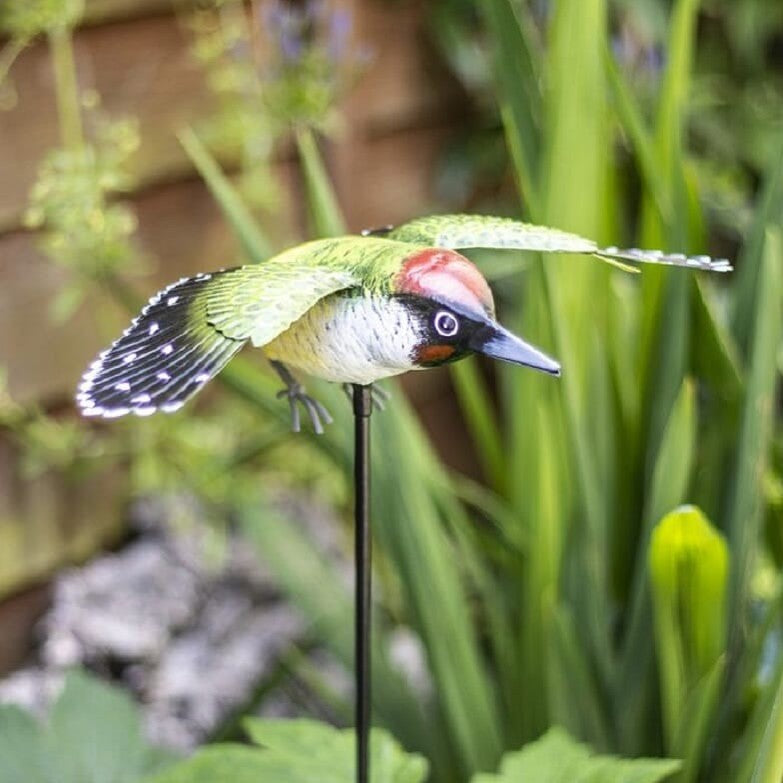 La Hacienda - Inquisitive Woodpecker on Stake