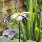 La Hacienda - Inquisitive Woodpecker on Stake