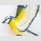 La Hacienda - Tree Top Blue Tit Wall Art Large