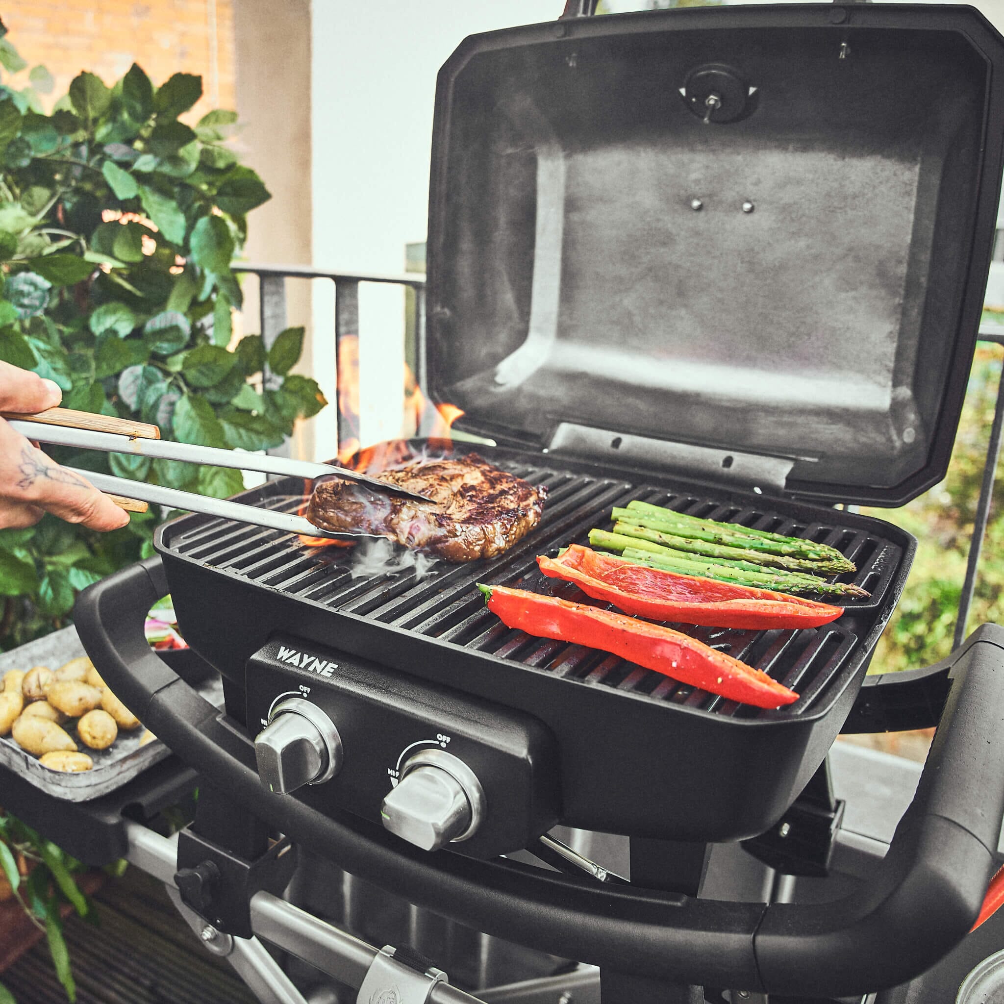 Burnhard WAYNE 2-Burner Series 2