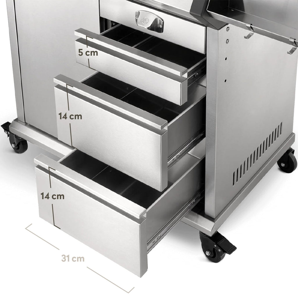 Burnhard Big EARL 4-Burner Premium Gas Grill 2025