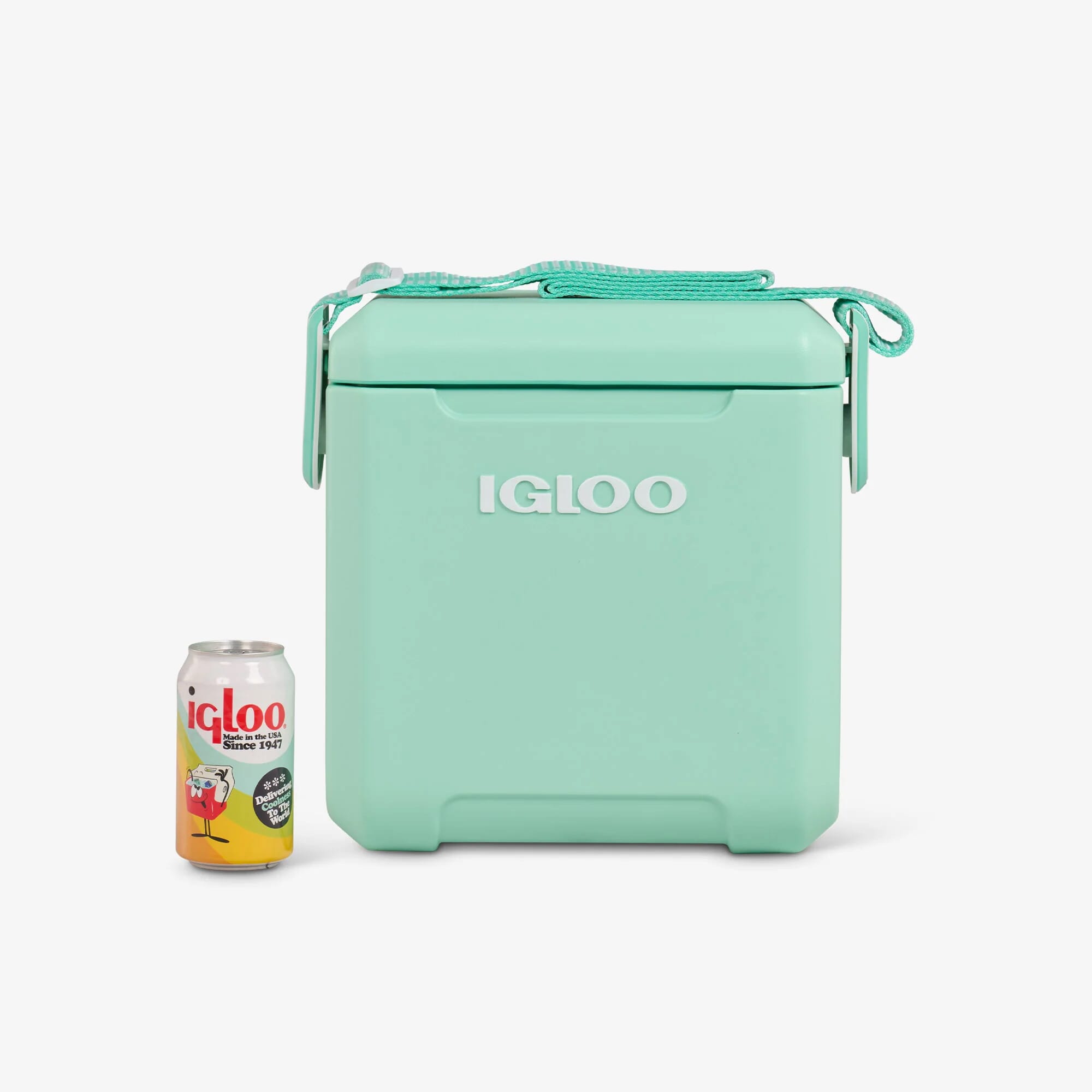 TAG-A-LONG TOO 11 Seafoam10L - EDC