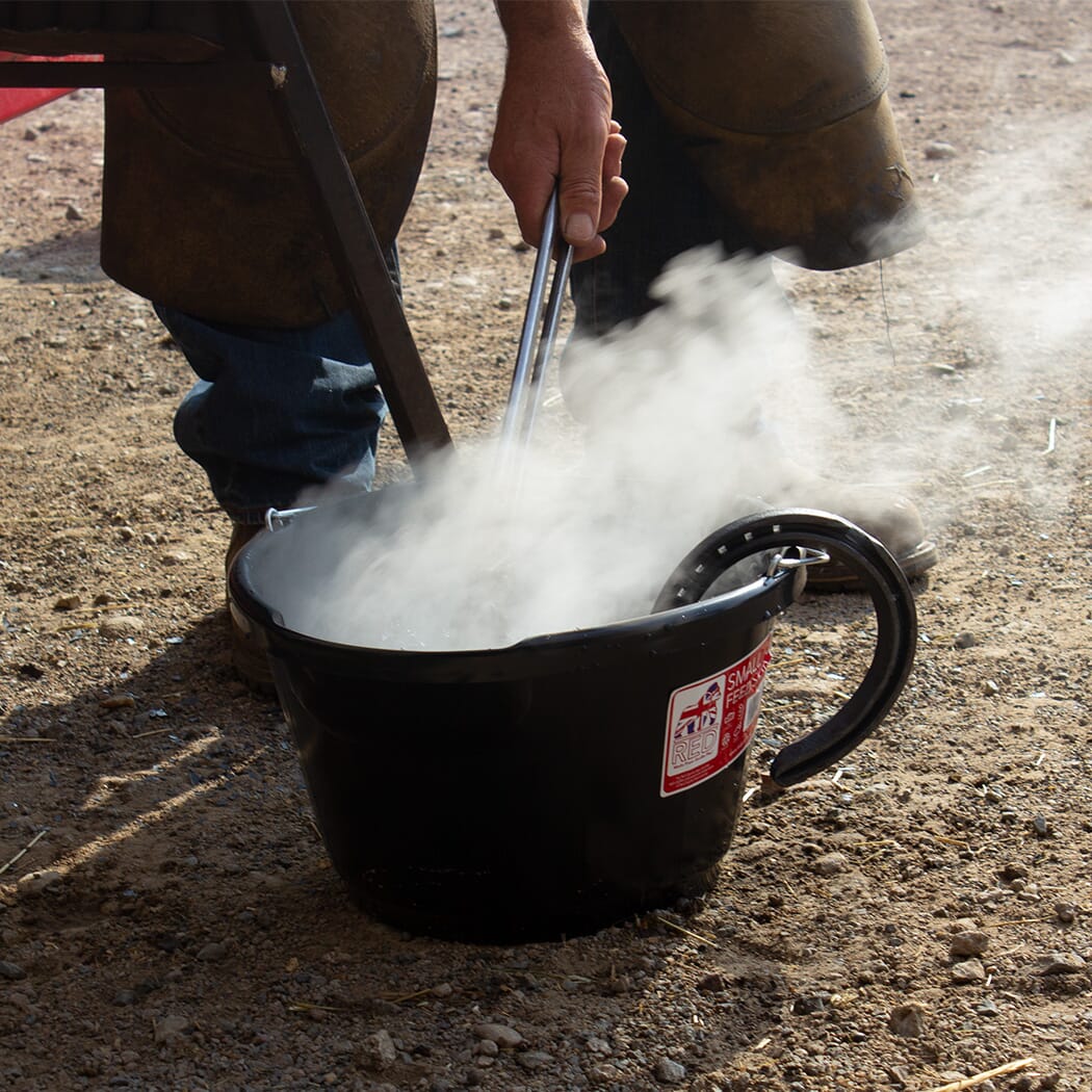 Red Gorilla Gorilla Plas 10L Feed Bucket - Black
