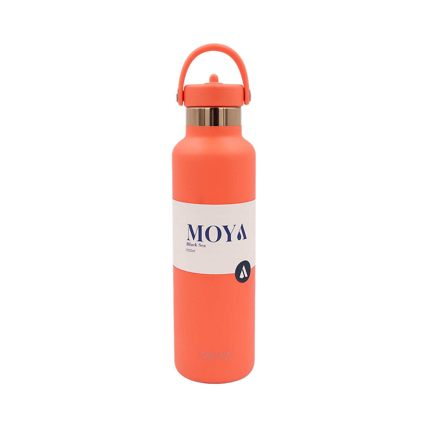 Black Sea 700ml Stainless Steel Water Bottles Straw