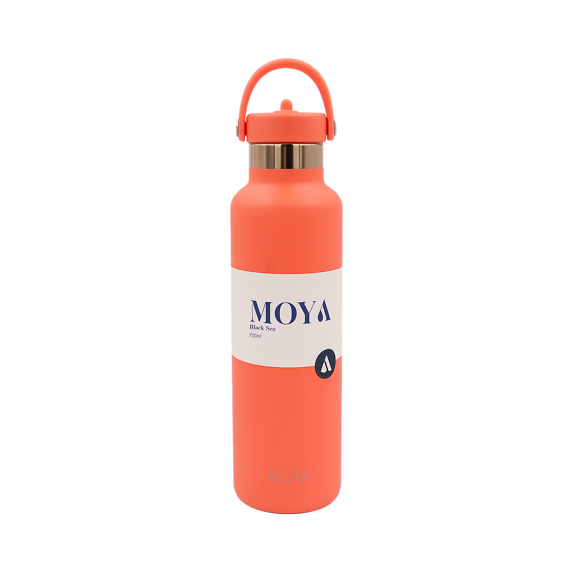 Black Sea 700ml Stainless Steel Water Bottles Straw