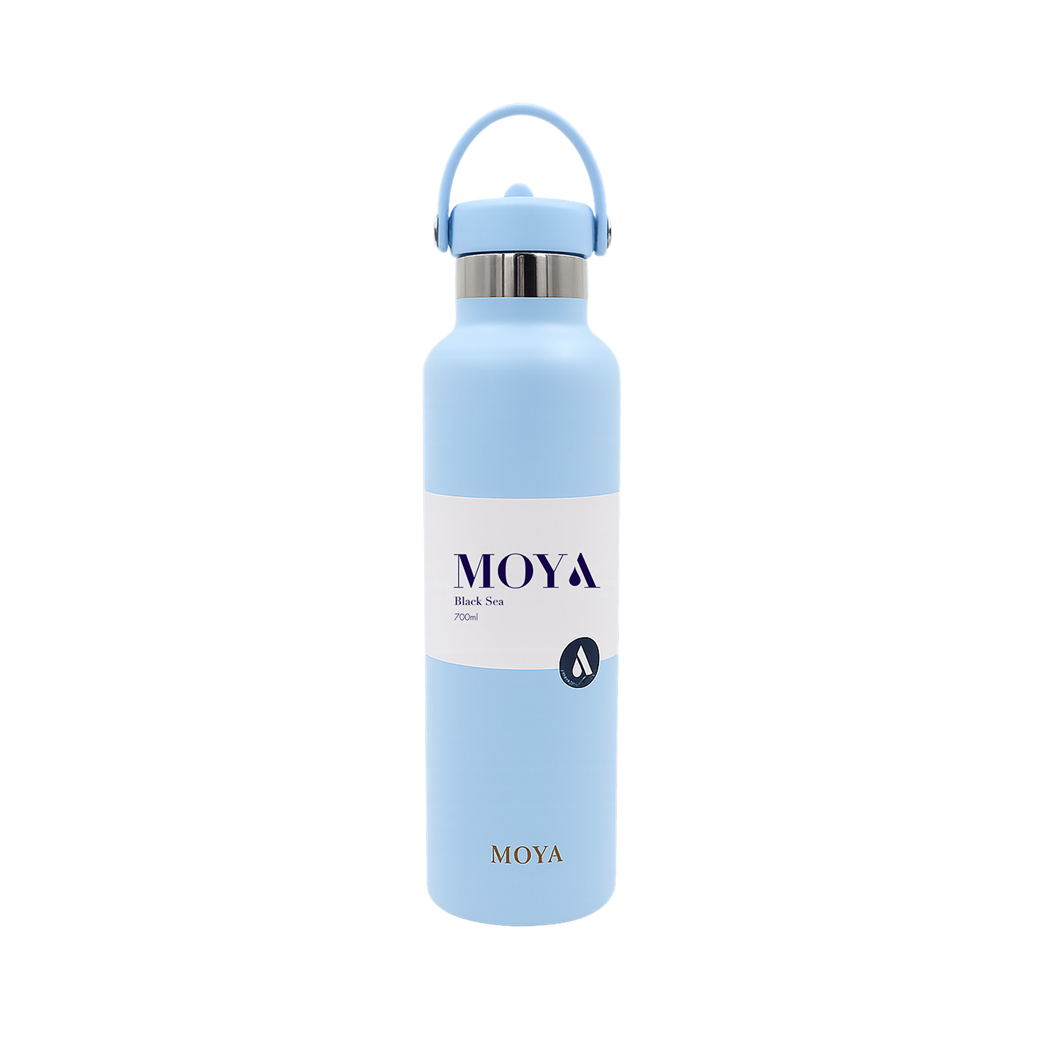 Black Sea 700ml Stainless Steel Water Bottles Straw