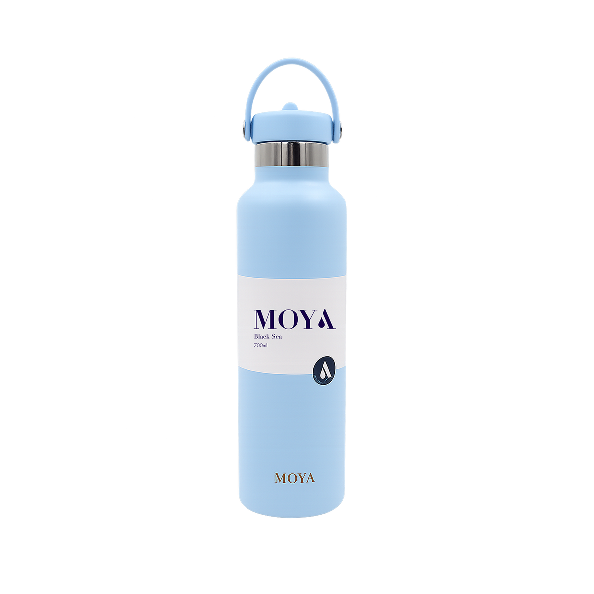 Black Sea 700ml Stainless Steel Water Bottles Straw