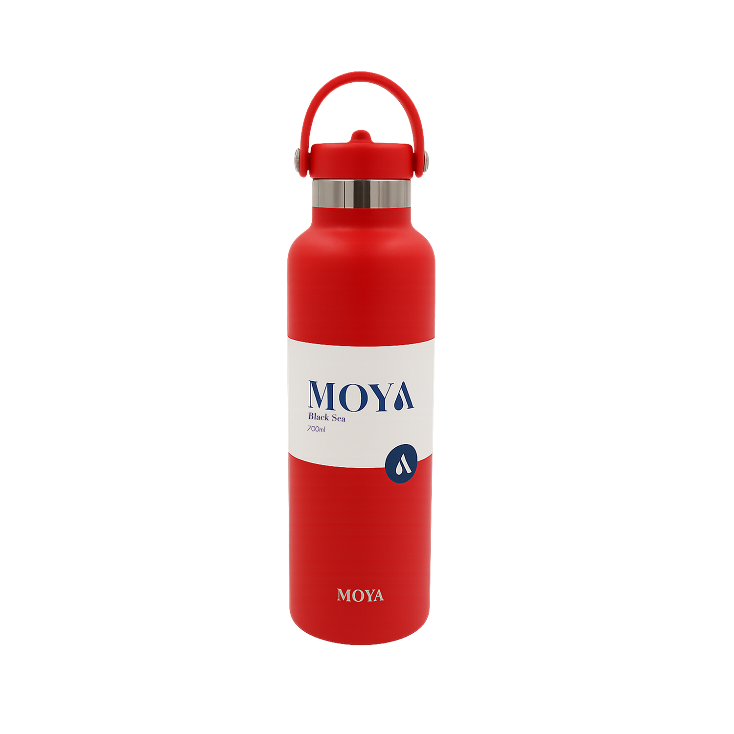 Black Sea 700ml Stainless Steel Water Bottles Straw