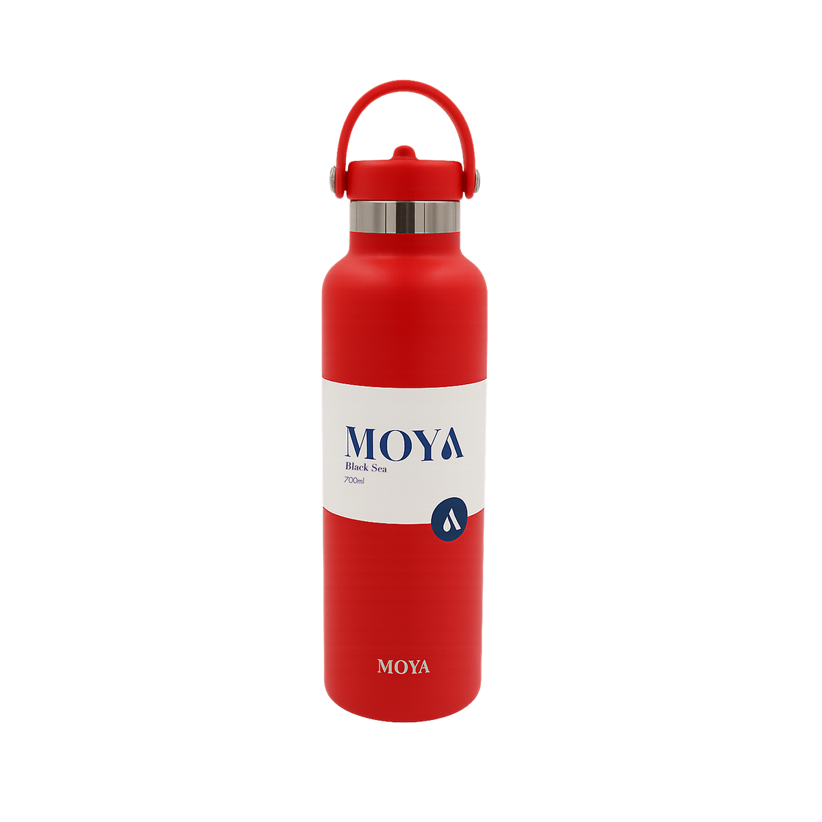 Black Sea 700ml Stainless Steel Water Bottles Straw
