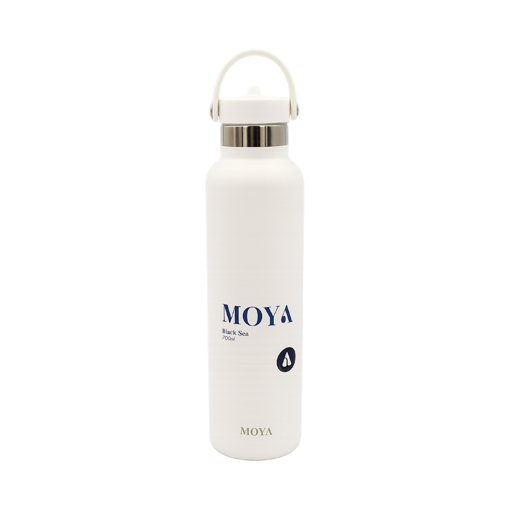 Black Sea 700ml Stainless Steel Water Bottles Straw