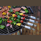 Saborr Stainless Steel BBQ Skewers