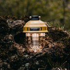 dusty yellow