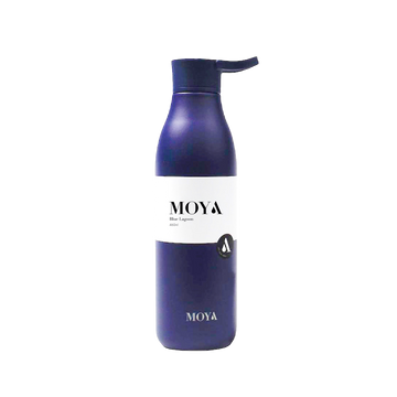 Blue Lagoon 460ml Stainless Steel Water Bottle