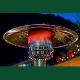 PureHeat Mushroom Style Gas Patio Heater In Stainless Steel