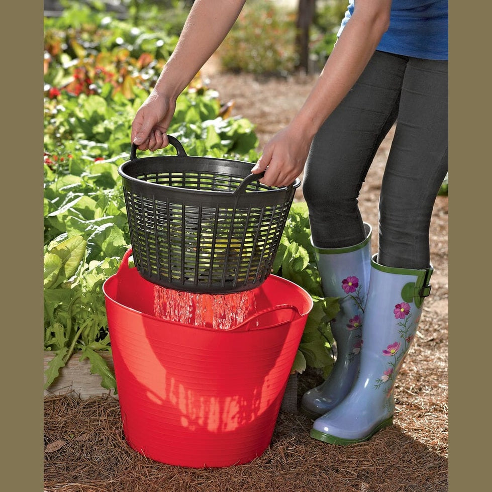 Red Gorilla Cesto Drainer Basket - Graphite