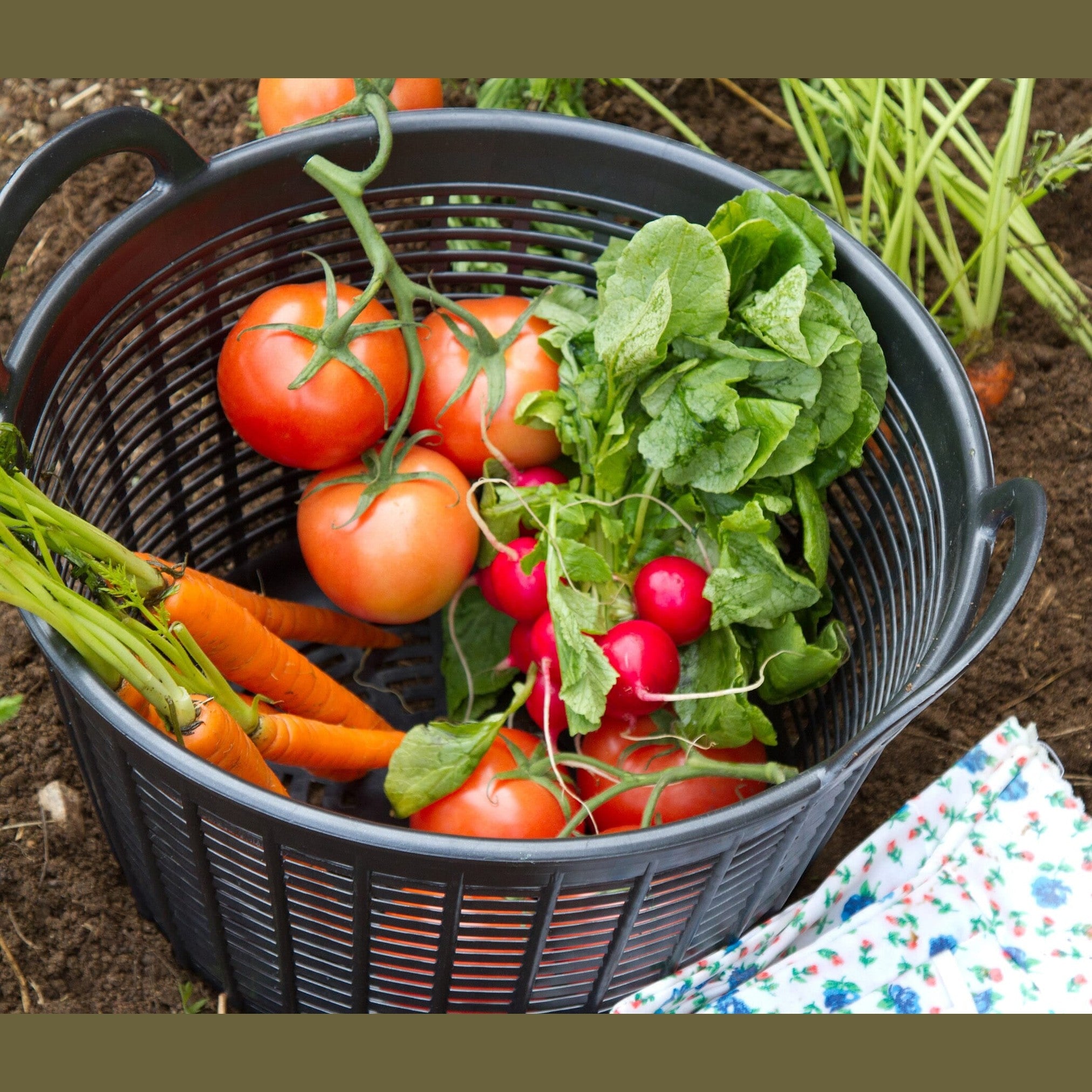 Red Gorilla Cesto Drainer Basket - Graphite