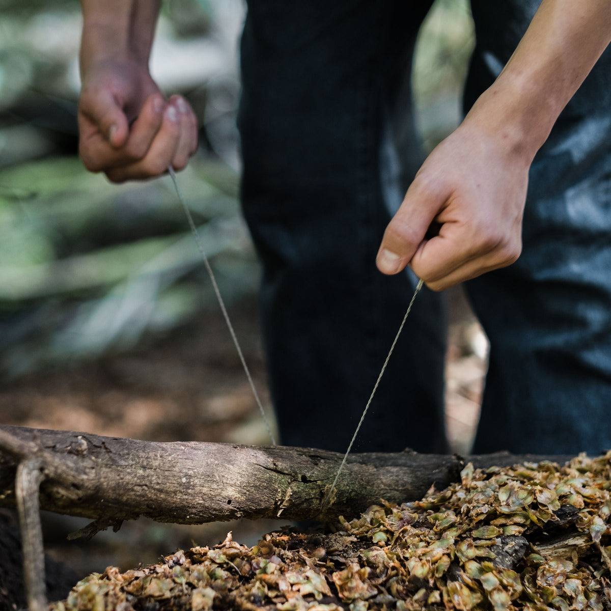 Barebones Wire Saw - Walnut