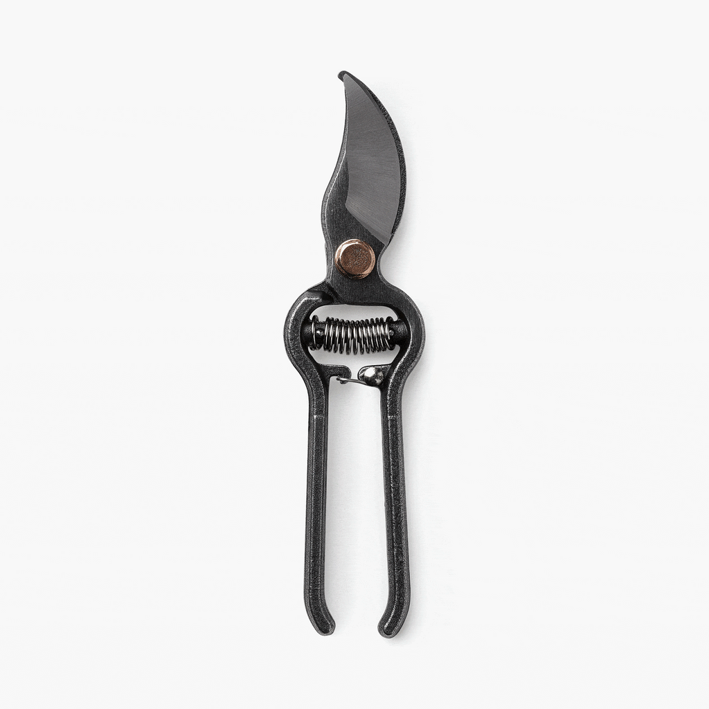 Barebones Pruner