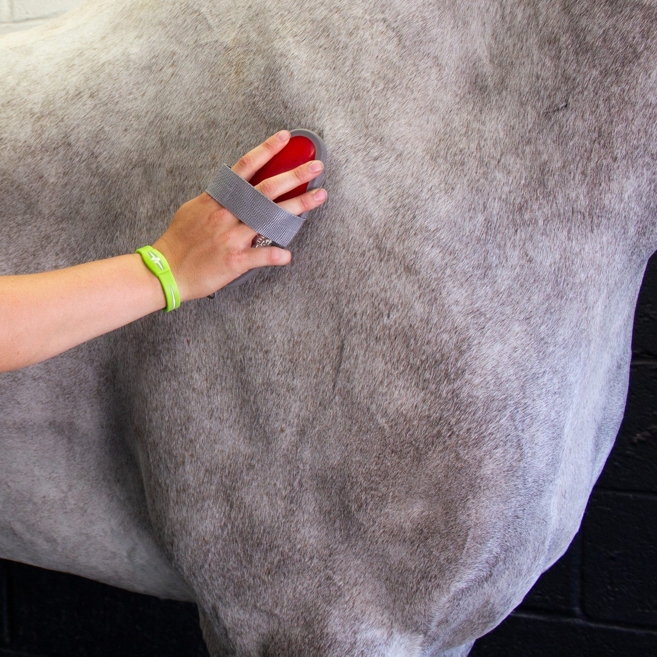 Red Gorilla Horse Grooming Body Brush
