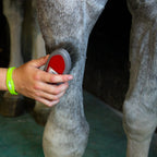 Red Gorilla Horse Grooming Body Brush