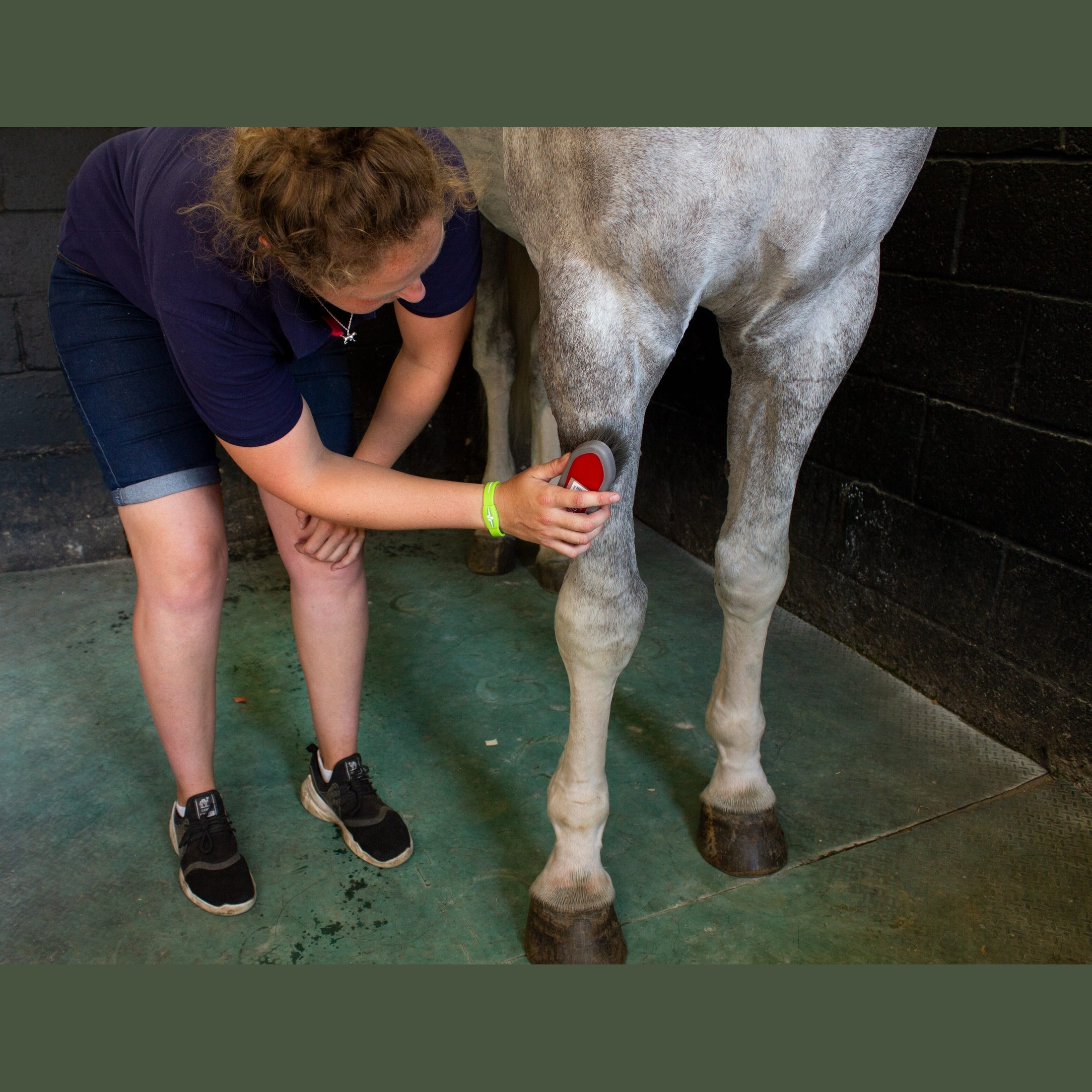 Red Gorilla Horse Grooming Body Brush
