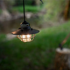 Edison Pendant Light - Antique Bronze