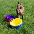 Red Gorilla Premium Shallow Bucket - Purple