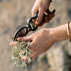 Barebones Pruner