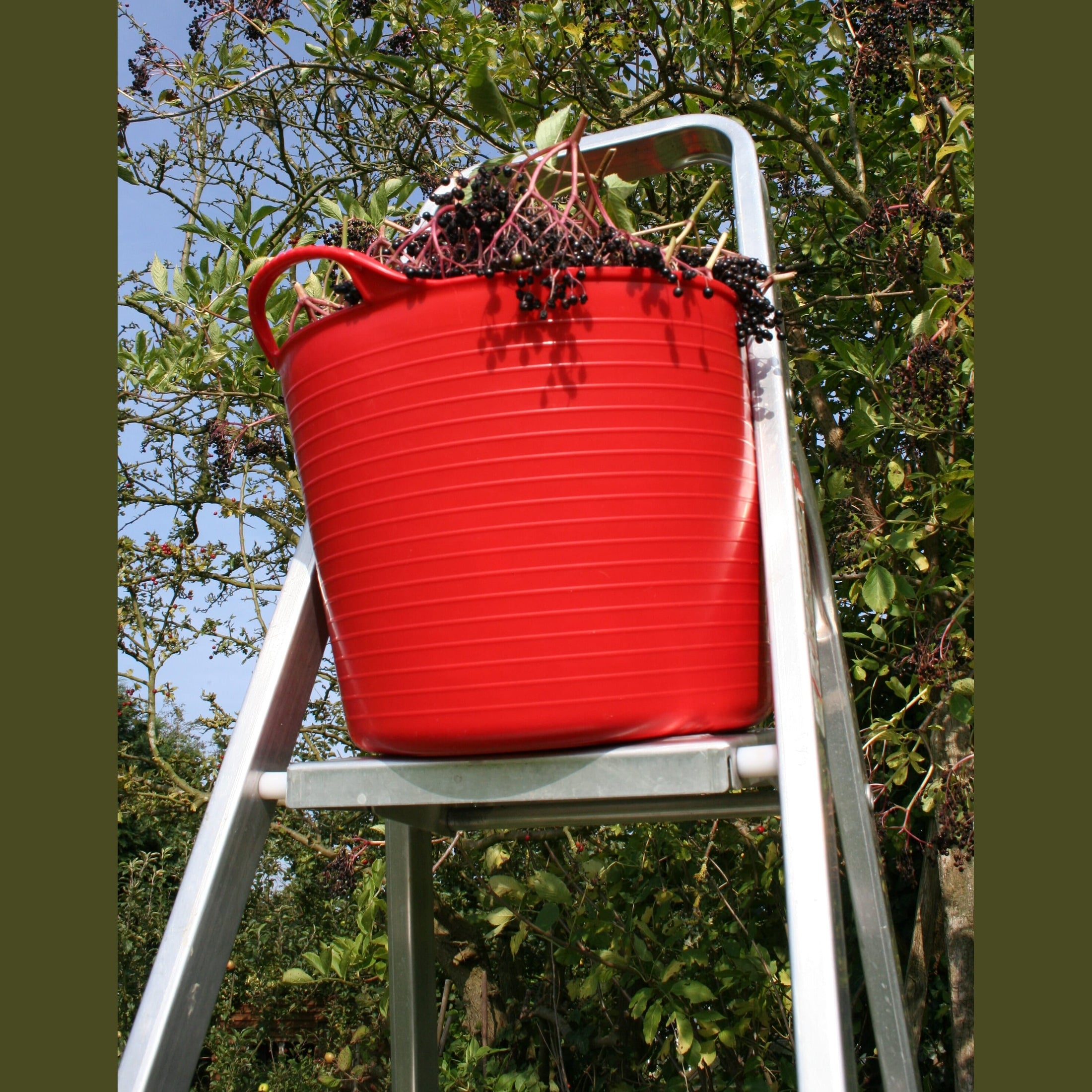 Red Gorilla 14L Tub - Red