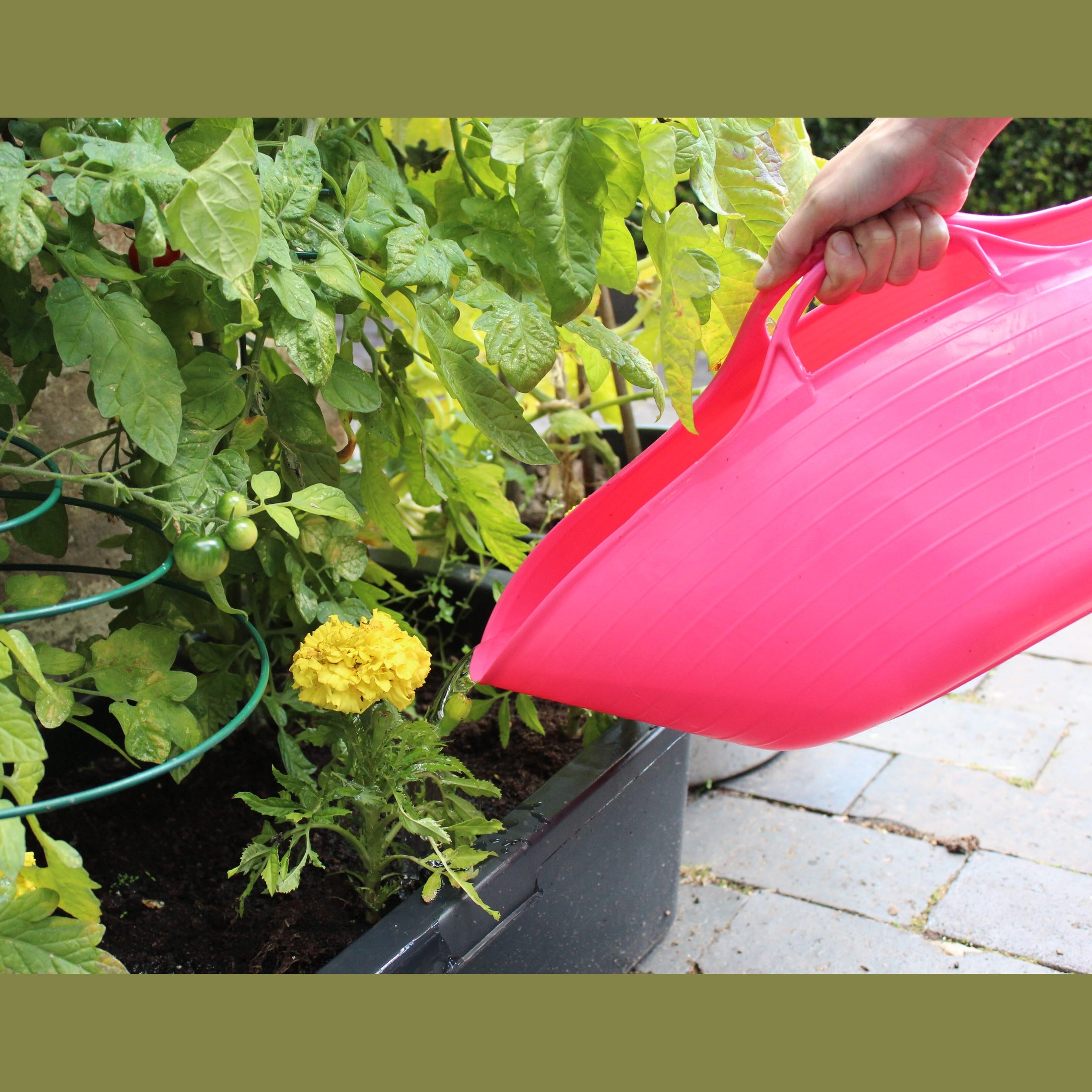 Red Gorilla Small Shallow 15L Tub - Pink