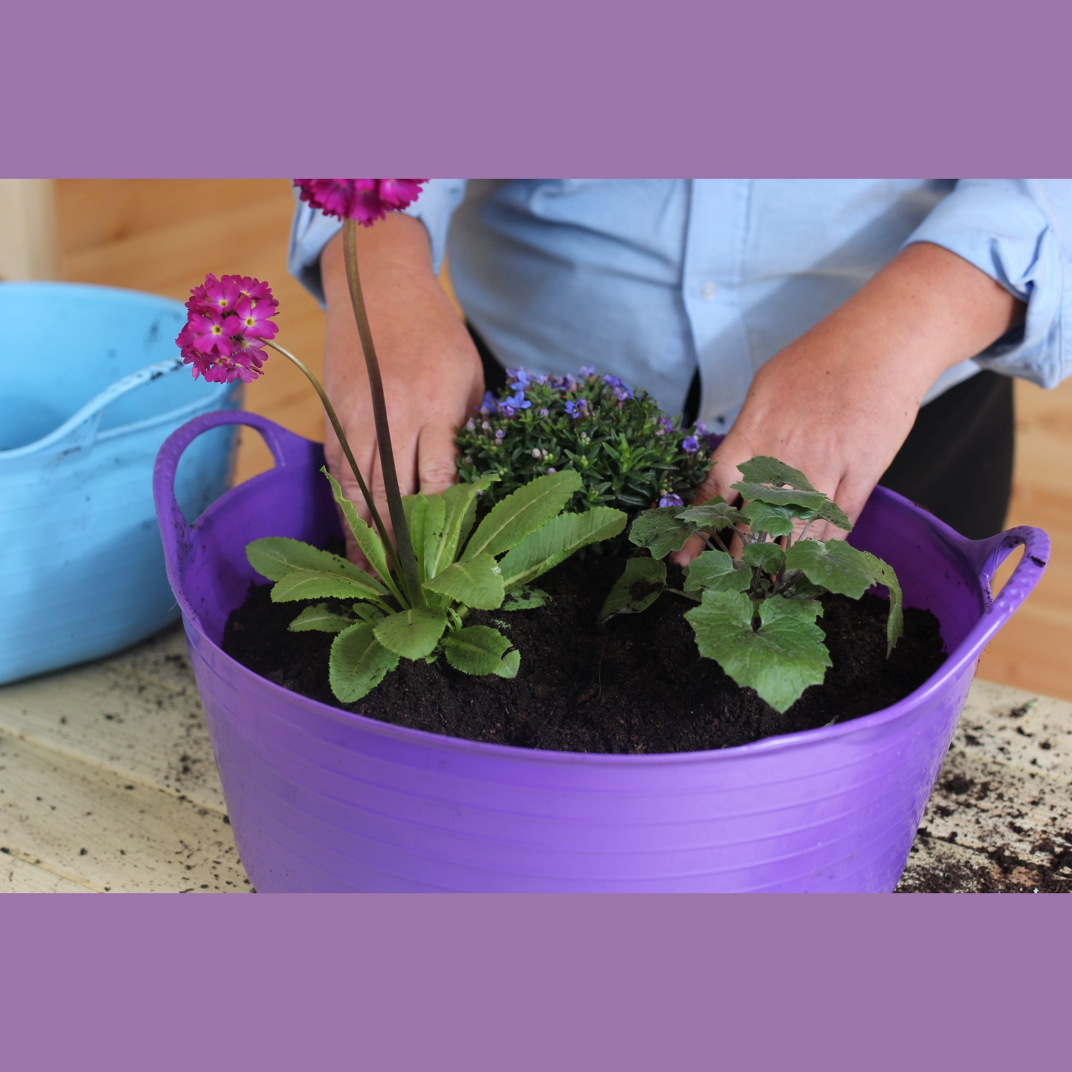 Red Gorilla Gorilla Tub Small Shallow 15L - Purple