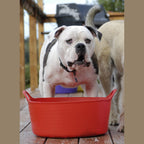 Red Gorilla Gorilla Tub Small Shallow 15L - Red