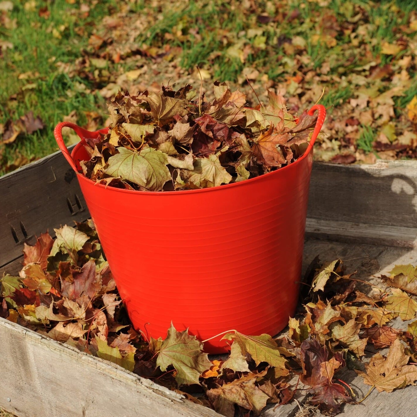 Red Gorilla Medium 26L Tub - Red