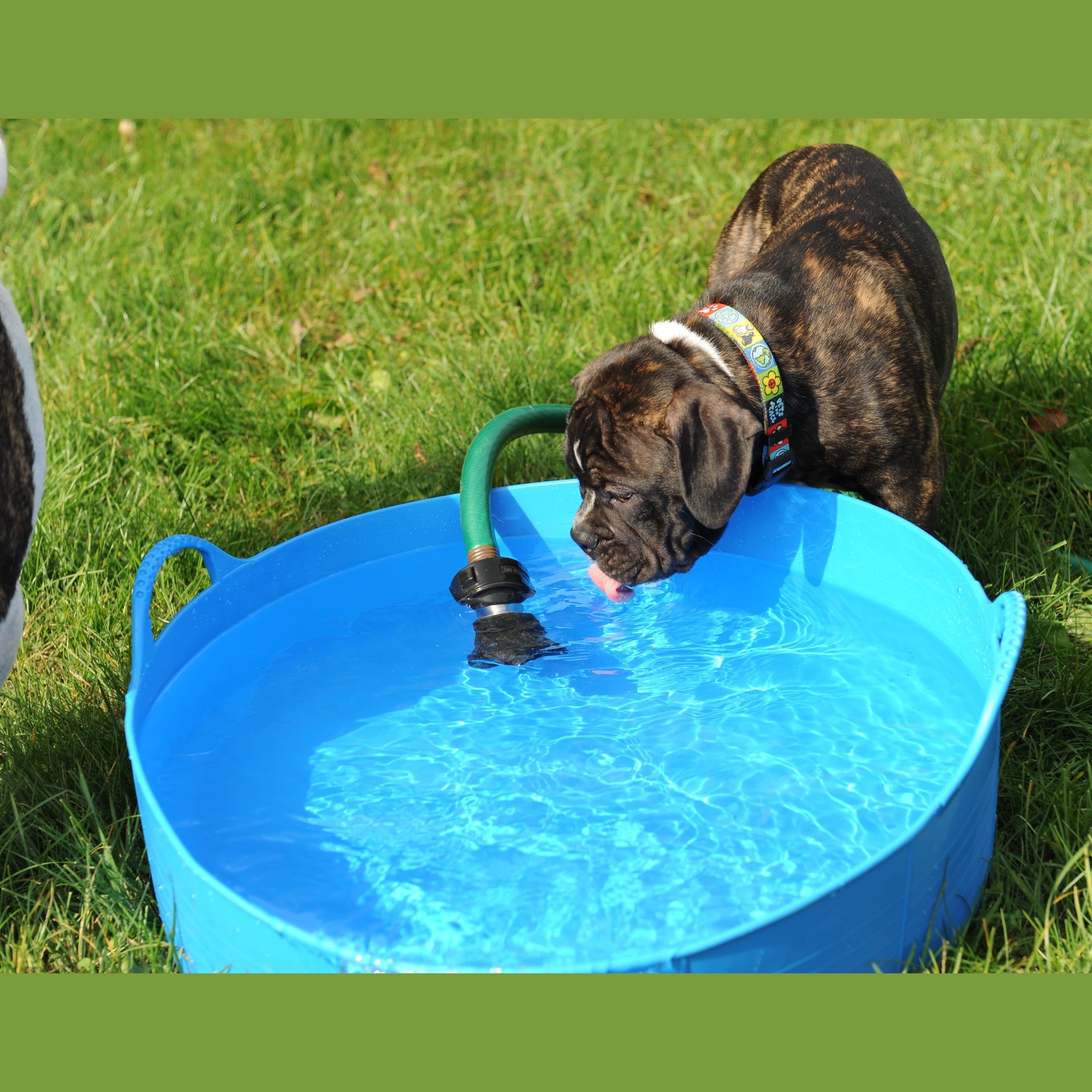 Red Gorilla Gorilla Tub Large Shallow 35L - Blue