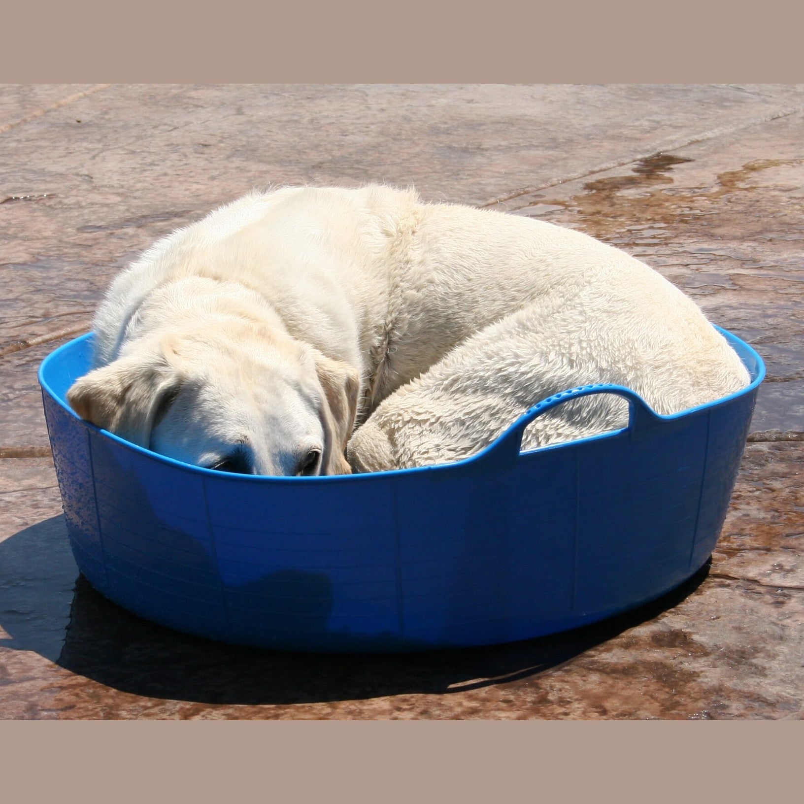Red Gorilla Gorilla Tub Large Shallow 35L - Blue