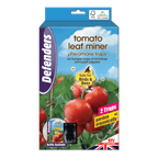 STV Tomato Leaf Miner Trap - Twinpack
