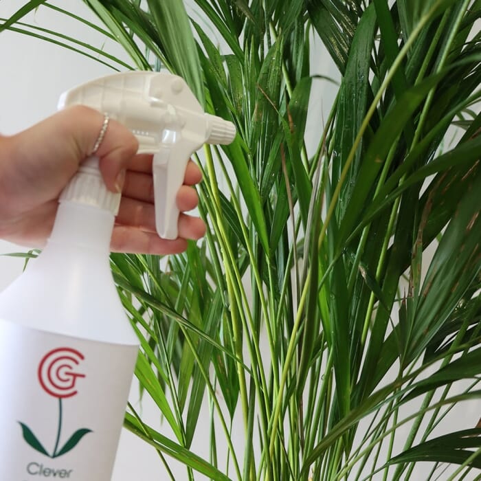 STV 100% Recycled Bottle - Own Label - 750ml
