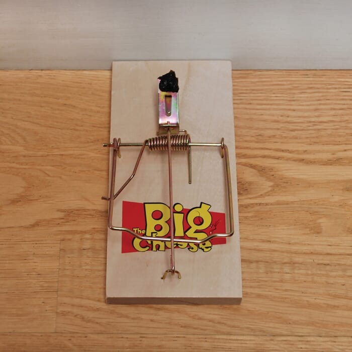 STV Wooden Rat Trap - Twinpack