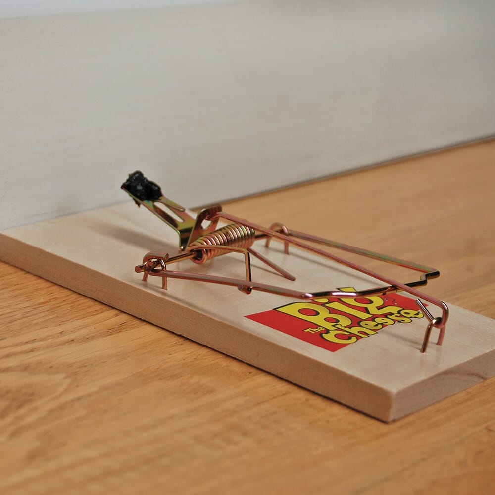 STV Wooden Rat Trap - Twinpack