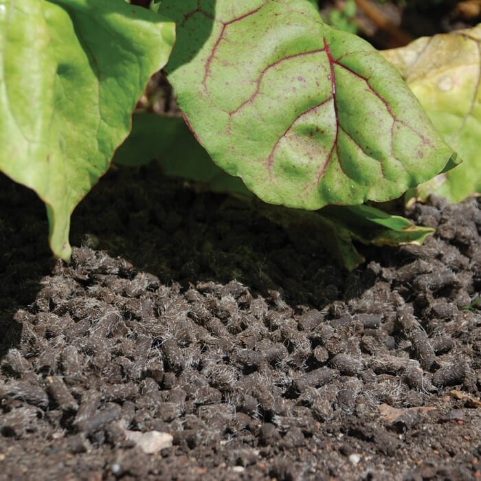 STV Slugs Away® Wool Pellets - 1L