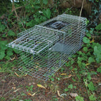 STV  Live Animal Trap - Large Cage